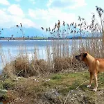フェリエンハウス ウント ランドハウス バーガー * フュッセン