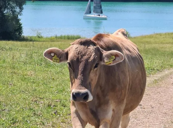 Und Berger Füssen